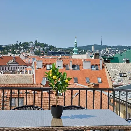 Skyline Penthouse With Terrace Apartment